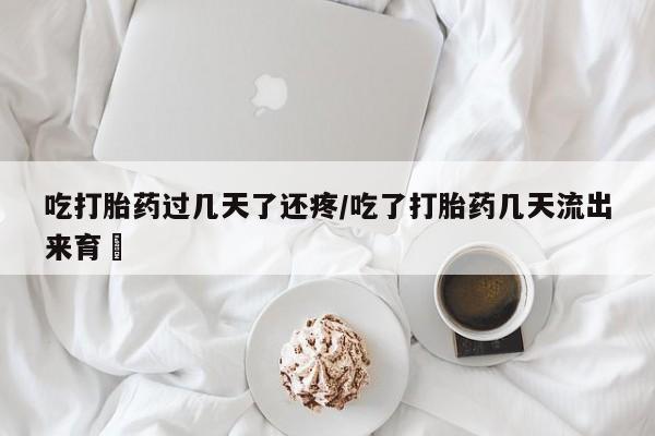 admin 第315页