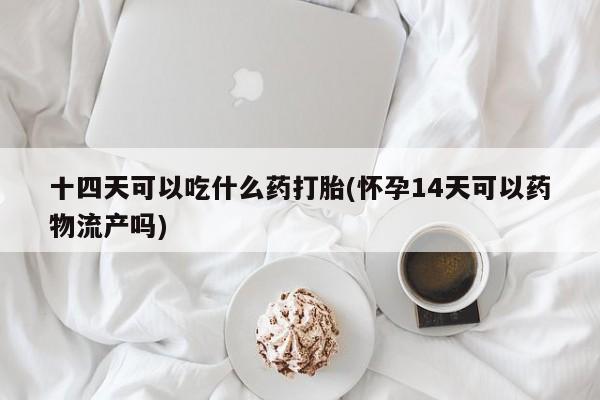网上购买米非司酮片去哪买十四天可以吃什么药打胎(怀孕14天可以药物流产吗)